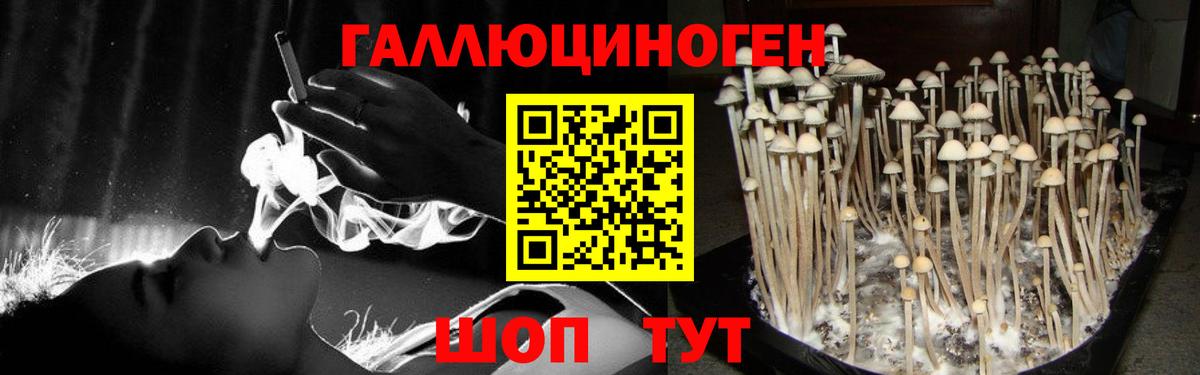 Галлюциногенные грибы Cubensis  Вход с VPN  Узловая 